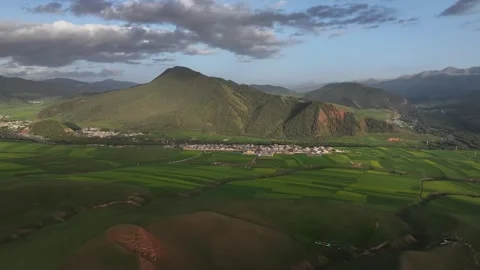 Aerial view of Rapeseed Fields in Qilian Mountains, Qilian, Qinghai, China Stock Footage 307169040
