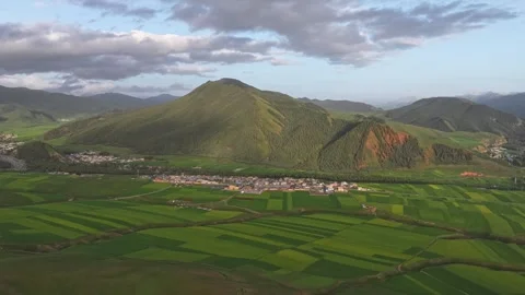Aerial view of Rapeseed Fields in Qilian Mountains, Qilian, Qinghai, China Stock Footage 307169325