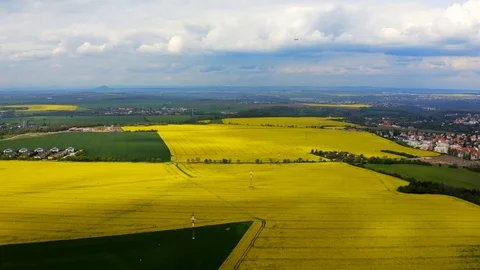 Aerial view rapeseed fields at sunny day Stock Footage 120562430