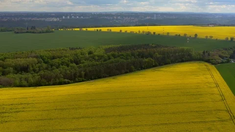 Aerial view rapeseed fields at sunny day Stock Footage 120562439