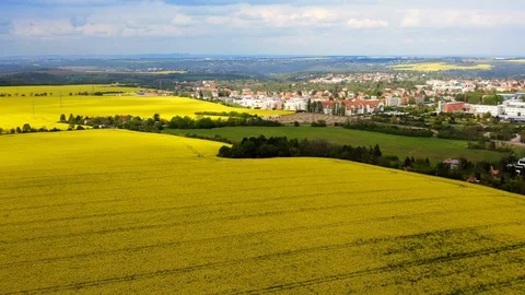 Aerial view rapeseed fields at sunny day Video stock 120562587