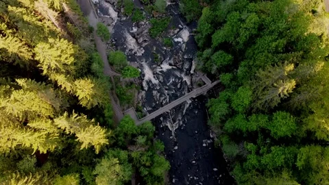 Aerial view of rapids in summer time Stock Footage 152506127