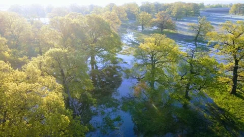 Aerial view of a rare forest landscape river Stock Footage 270173785