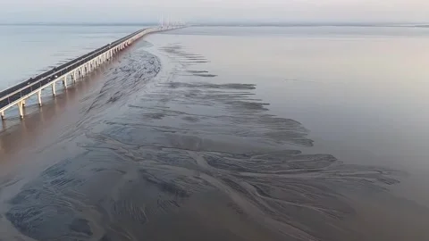 Aerial View of Rare Tidal Tree Geomorphology in Qiantang River China Vidéo 335280985