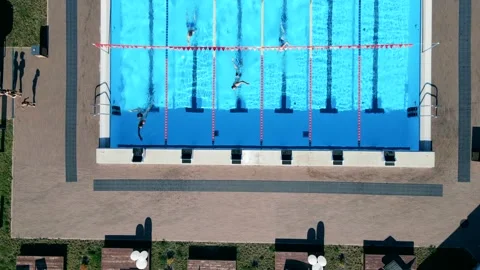 Aerial View of Rectangular Swimming Pool with Active Swimmers Vídeos de archivo 296511156