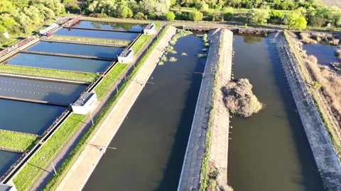 Aerial view of rectangular water treatment ponds with green vegetation along the Vidéo 334037870