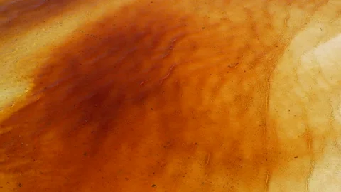 Aerial view of red Algae Bloom Stock Footage 318653597