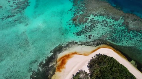 Aerial view of red Algae Bloom Stock Footage 318653644