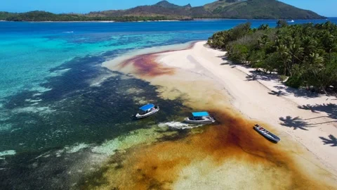 Aerial view of red Algae Bloom Stock Footage 318653774