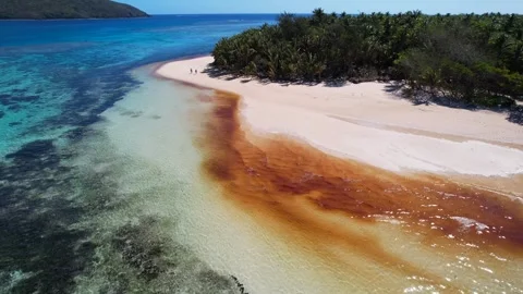 Aerial view of red Algae Bloom Stock Footage 318653872