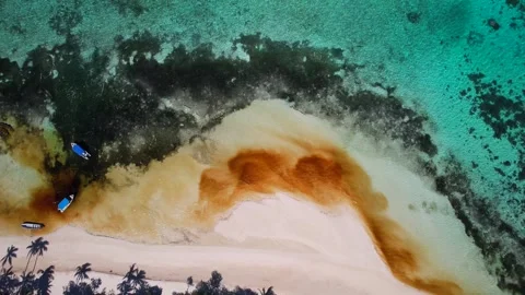 Aerial view of red Algae Bloom Stock Footage 318654039