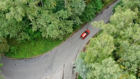 Aerial view of red car driving on country road in forest. Stock Footage 115491168