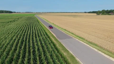 Aerial View of Red Car Driving Between Wheat and Corn Fields on Sunny Rural Road Stock Footage 346799284