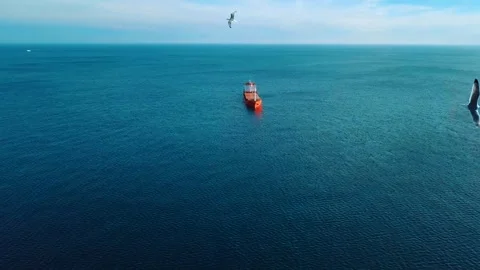 Aerial view of red cargo ship sailing in blue sea in Italy. Aerial top view of l Stock Footage 310721300