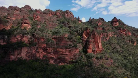 Aerial View of Red Rock Cliffs and Lush Vegetation in Chapada dos Guimaraes Stock Footage 309345187