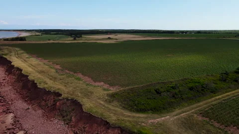 Aerial view of red sandstone cliffs and potato fields on PEI coast, Canada Vidéo 340517108