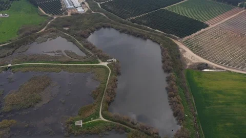 Aerial view of Reed group in Fields Stock Footage 125910288