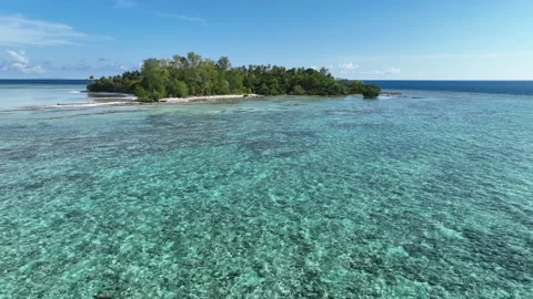 Aerial View of Reef Flat and Idyllic Tropical Island in Remote Part of Indonesia Video stock 259830920