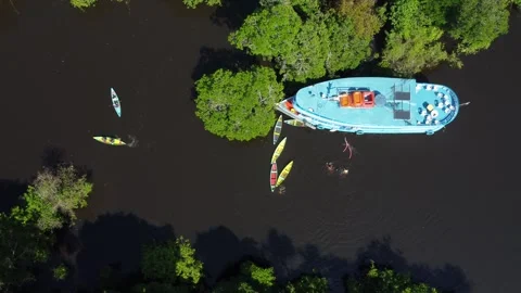 Aerial View of Regional Canoes Navigating a Rio Negro Igarapé Stock Footage 336912227