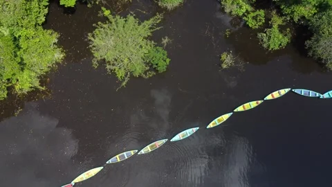 Aerial View of Regional Canoes Navigating a Rio Negro Igarapé Stock Footage 336912560