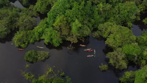 Aerial View of Regional Canoes Navigating a Rio Negro Igarapé Stock Footage 336912747
