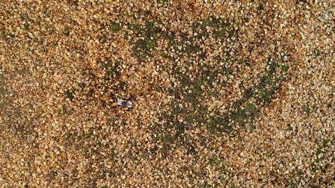 Aerial view of remote controlled fast truggy car drift in the fallen leafs Stock Footage 98541153