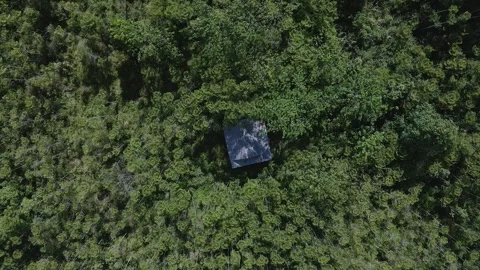 Aerial view of a remote house in the middle of a forest with lush trees 2 Stock Footage 291691377