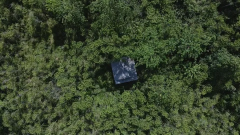 Aerial view of a remote house in the middle of a forest with lush trees 3 Stock Footage 291693958