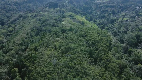 Aerial view of a remote house in the middle of a forest with lush trees 4 Stock Footage 291694322