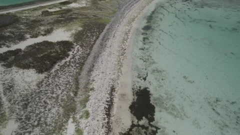 Aerial View Remote Island Sand Spit and Shrubland Surrounded by Shallow Flats Stock Footage 347126417