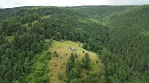 Aerial view of remote mountain cabin surrounded by forest in summer Video stock 325819710