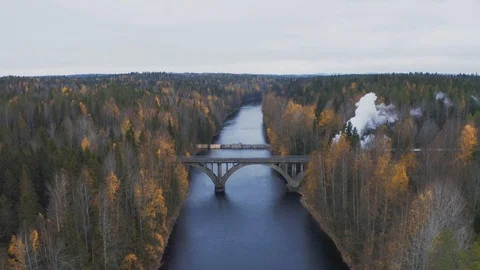 Aerial view retro steam train passing the bridge in forest Stock Footage 126578036