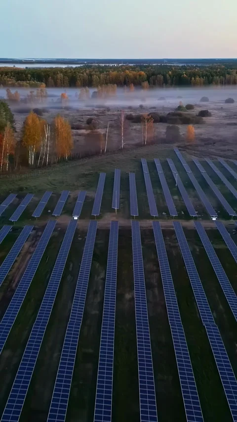 Aerial view reveal of solar panel field with misty fog, vertical 스톡 동영상 337137848