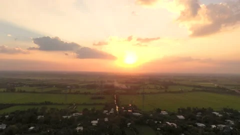 Aerial view the rice field Stock Footage 168406882