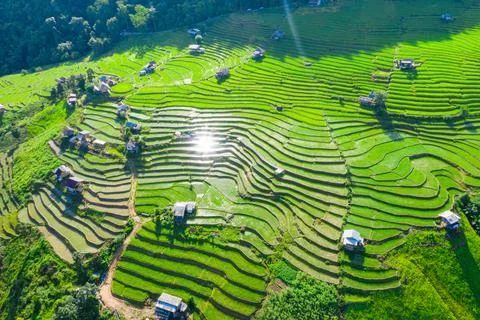 Aerial view of rice field Pa? Bong? Piang? Rice Terraces? at Pa Bong Piang vi Stock Photos