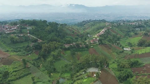 Aerial view of rice field, vegetable plantation, and rural area in Dago near Lem Stock Footage 294051282