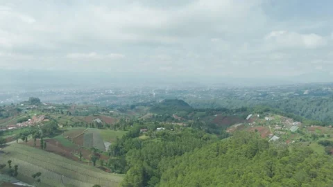 Aerial view of rice field, vegetable plantation, and rural area in Dago near Lem Stock Footage 294052604