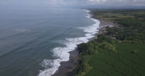 Aerial view of rice fields and Kedungu beach Stock Footage 127874999