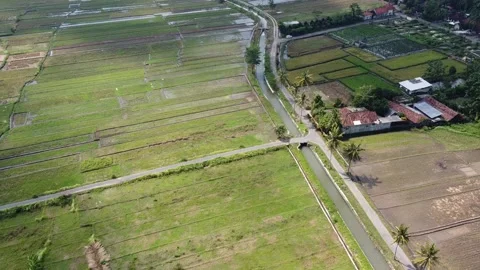 Aerial view of rice fields and irrigation channels. Very beautiful scenery Stock Footage 134305351