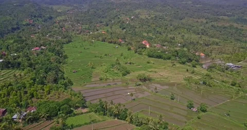 Aerial view to rice fields and vilages landscape inland in Bali Indonesia Stock Footage 141535298