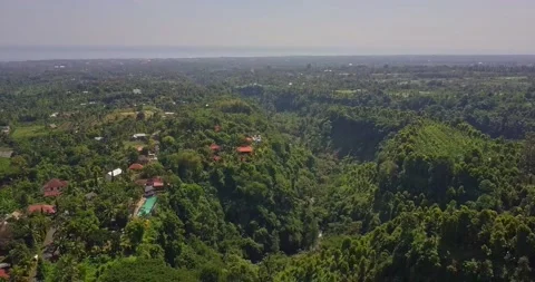 Aerial view to rice fields and vilages landscape inland in Bali Indonesia Stock Footage 141540615