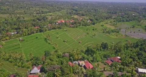 Aerial view to rice fields and villages landscape inland in Bali Indonesia Stock Footage 141540736