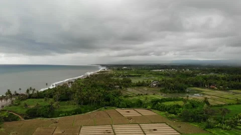 Aerial View With Rice Fields and Palm Trees on a Gloomy Day in Bali, Indonesia Stock Footage 152863556