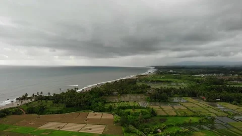 Aerial View With Rice Fields and Palm Trees on a Gloomy Day in Bali, Indonesia Stock Footage 152867090