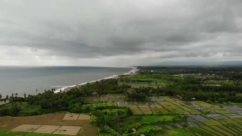 Aerial View With Rice Fields and Palm Trees on a Gloomy Day in Bali, Indonesia Stock Footage 152868518