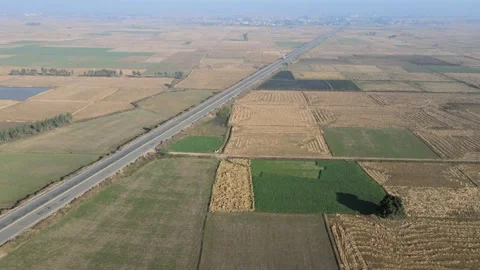 Aerial View of Rice Fields and Long Road - 4K Drone Footage Stock Footage 171344181