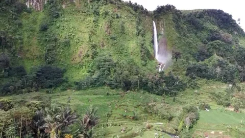 Aerial view of rice fields and waterfalls Stock Footage 239802829