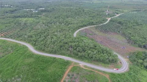 Aerial view of rice fields and forests in Kalimantan Stock Footage 240088876