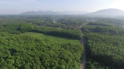 Aerial view of rice fields and forests in Kalimantan Stock Footage 240089288