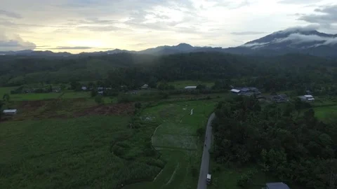 Aerial view of rice fields and forests in Kalimantan Stock Footage 240089289